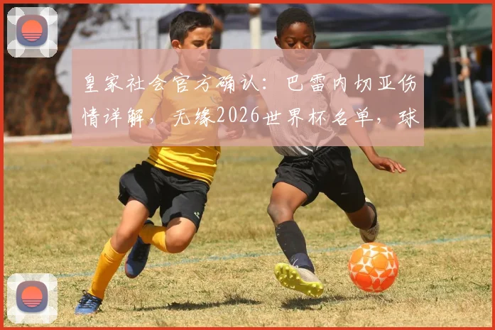 皇家社会官方确认：巴雷内切亚伤情详解，无缘2026世界杯名单，球队如何应对阵容缺口？